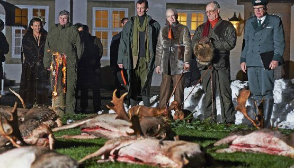 Det skal være slut med kongejagter, hvis det står til Linse Kessler og Kira Eggers. Billedet er fra en kongejagt i Grib Skov i 2015. (Foto: Uffe Kongsted)
