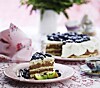 Lagkage med blåbær og chokolademousse