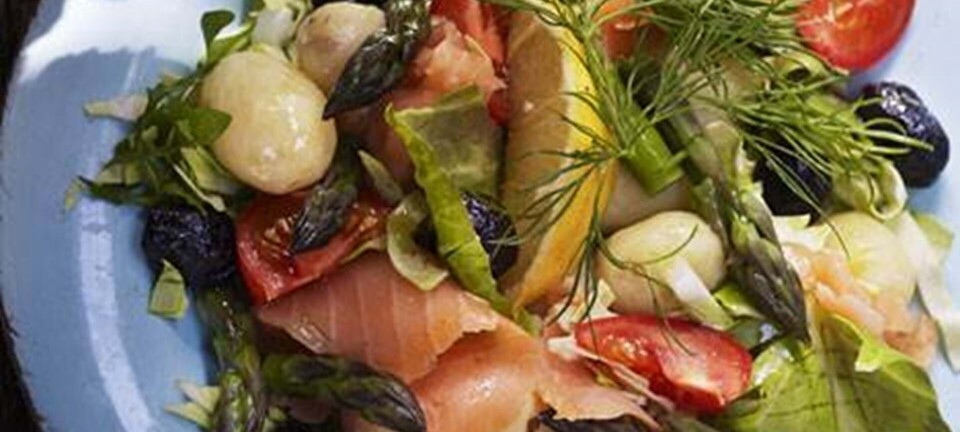 Salat med asparges, spidskål, kartofler og røget laks