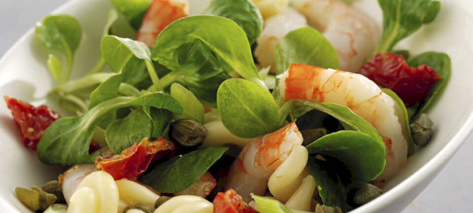 Superdelikat rejesalat