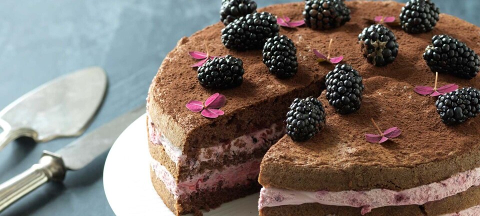 Chokoladekage med brombærcreme