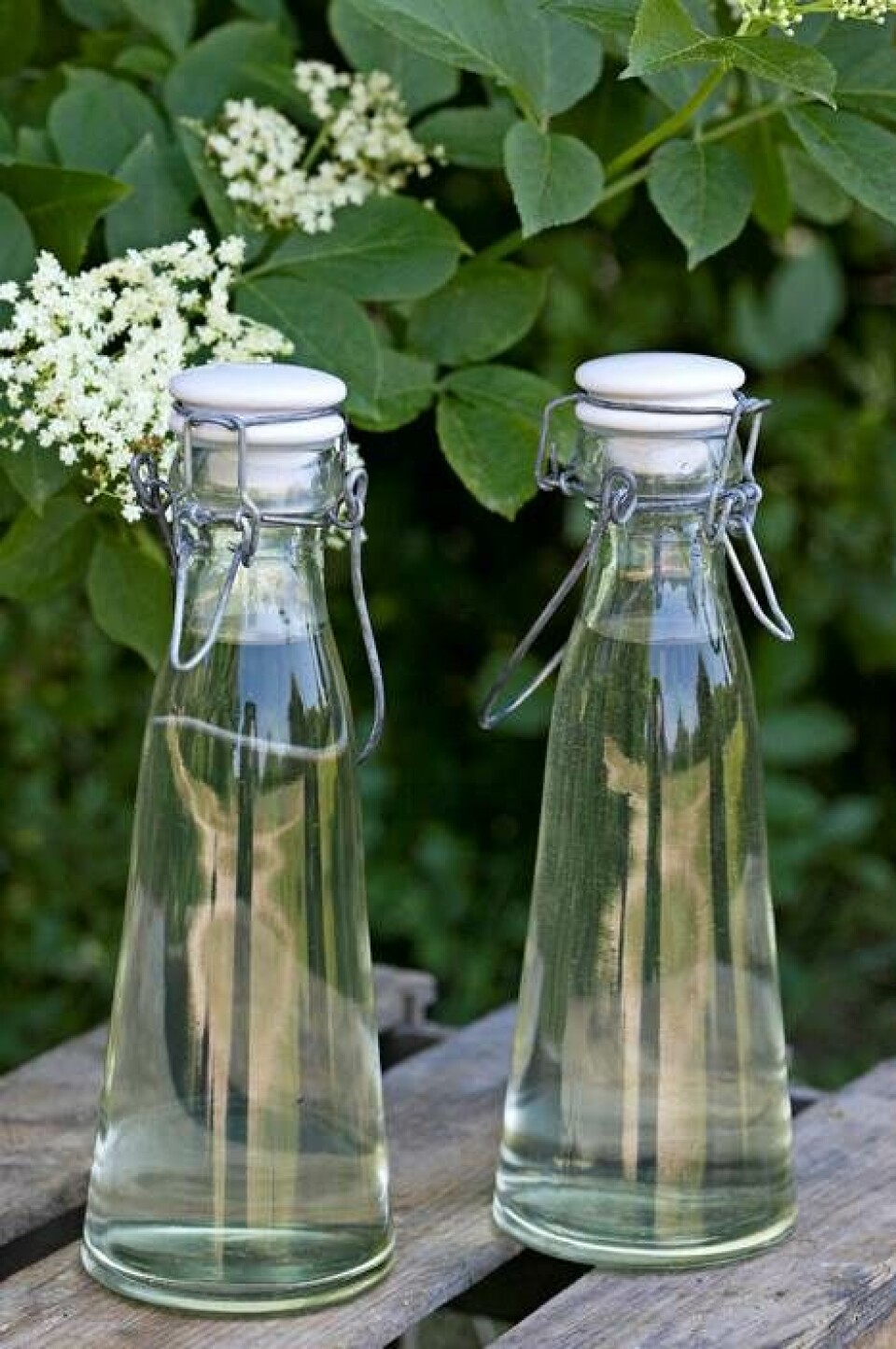 Lav den bedste hyldeblomstsaft