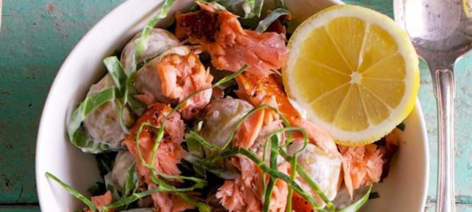 Kartoffelsalat med varmrøget laks og spidskål