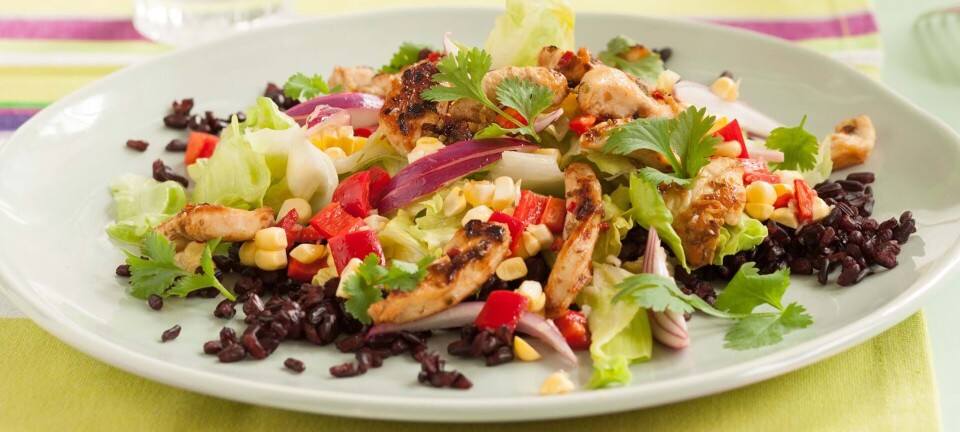 Lækker mexicansk salat med krydret kylling