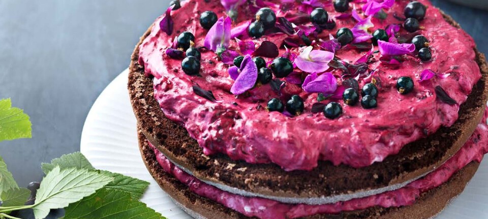 Chokoladekage med solbærcreme