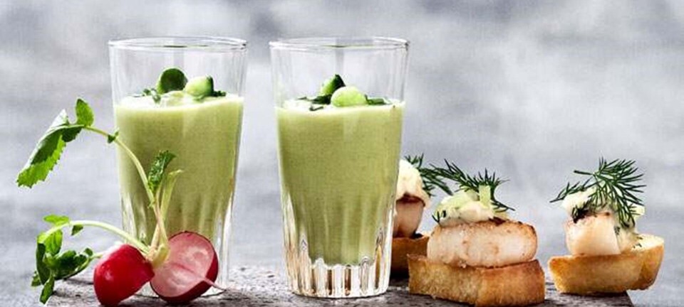 Agurke-avocadosuppe og kammuslinger