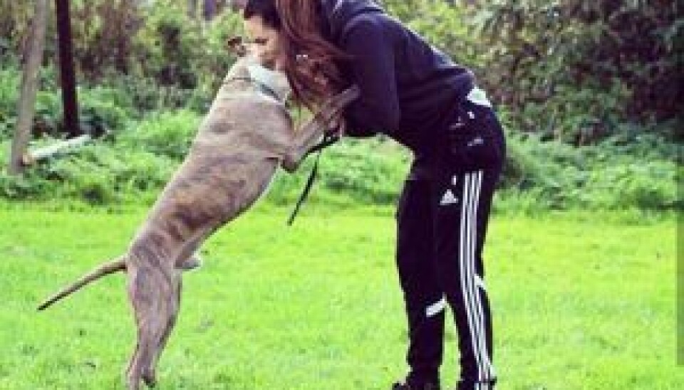 Hunden Clayton er flyttet med Christel, og det glæder hun sig over. (Foto: Privat)
