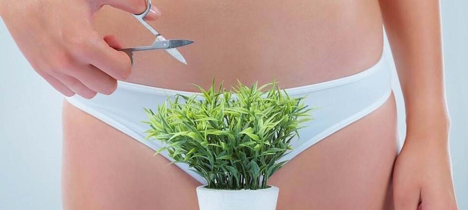 Hvad siger din kønsbehåring om dig?