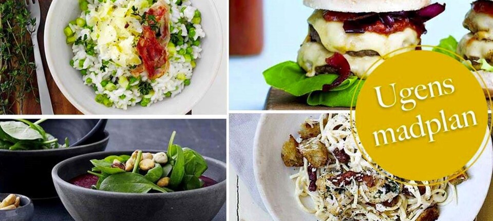 Lækre cheeseburgers, stegte nudler & vinterens bedste suppe: Her er ugens madplan til dig