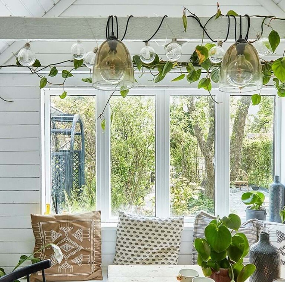 23-årige Astrid købte et smadret kolonihavehus – så hun har råd til at rejse jorden rundt