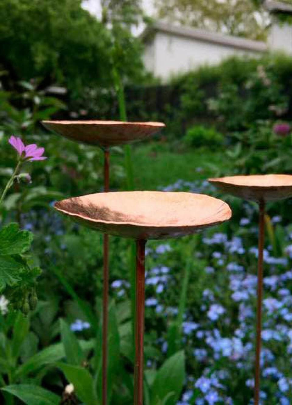 Plantetrends 2022 havekunst