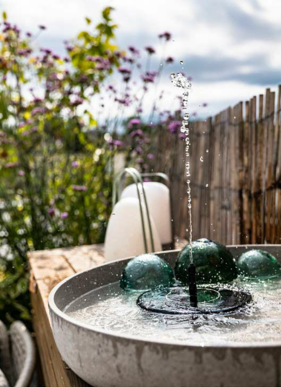 Plantetrends 2022 vand i haven