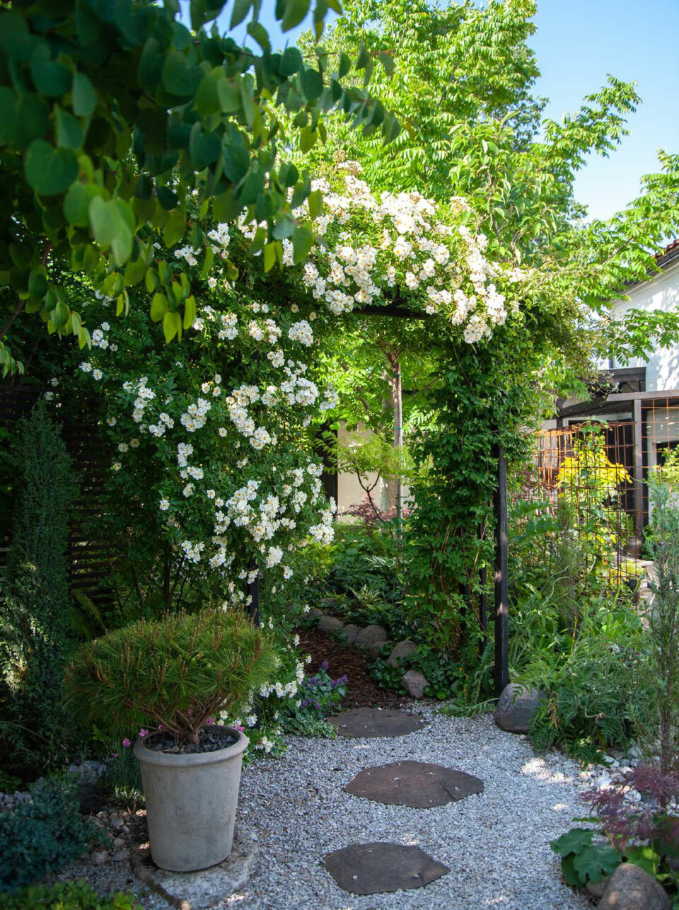 Plantetrends 2022 smukke rammer