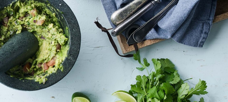 Skøn guacamoledip