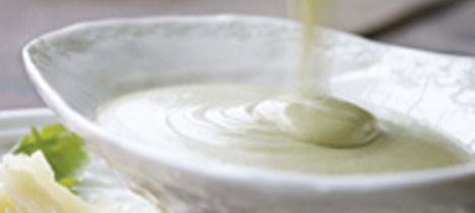 Avocadosuppe med chorizo