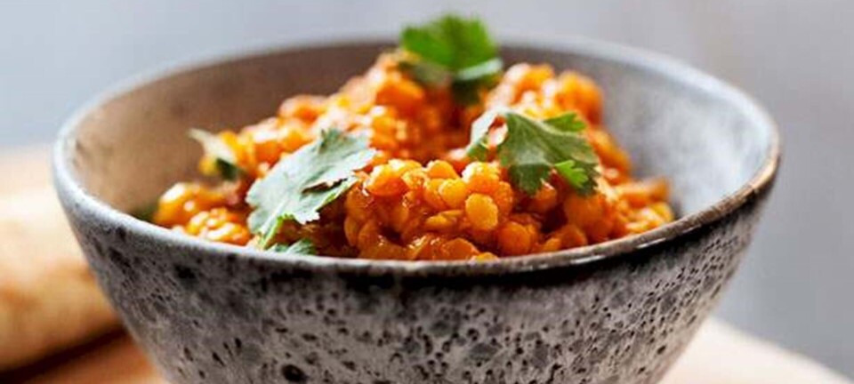 Rygende varm daal med naan-brød og koriander