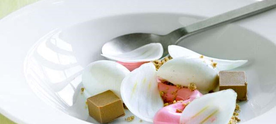 Dessert: Smagen af Kongen af Danmark – anis, fennikel og karamel