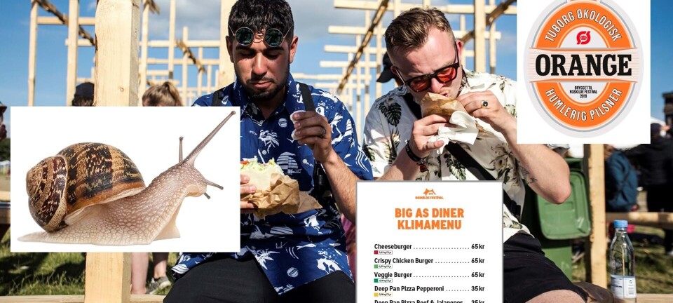 Mad på Roskilde Festival: Årets nyheder og en HELT ny Tuborg-øl