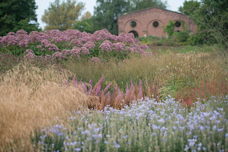 Maximilianpark, Hamm, Tyskland .jpg