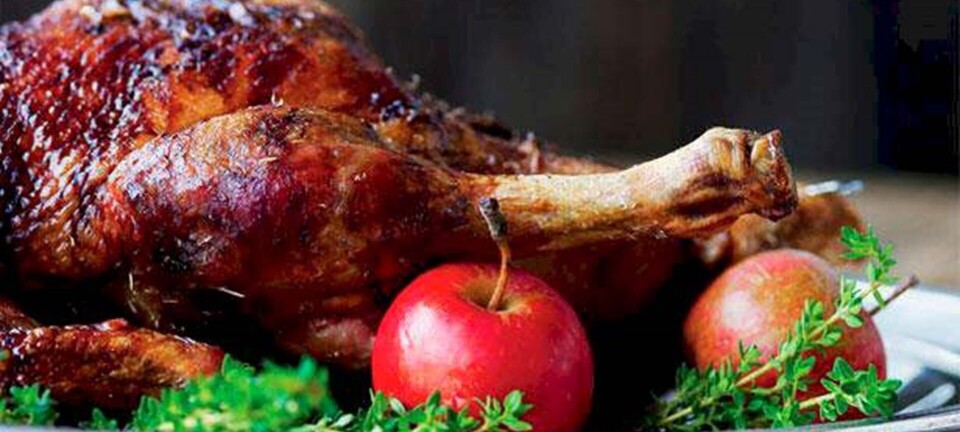 Mortensaften menu: Nem og lækker