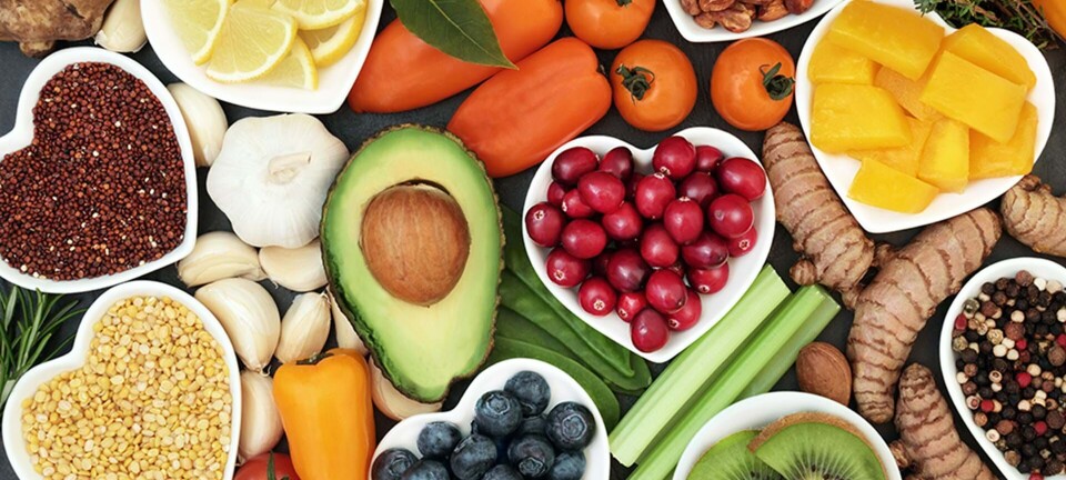 Det mener eksperterne om Low Fodmap