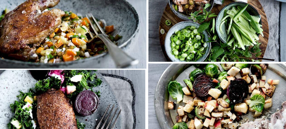 Forsmag på julen: And på 5 lækre måder