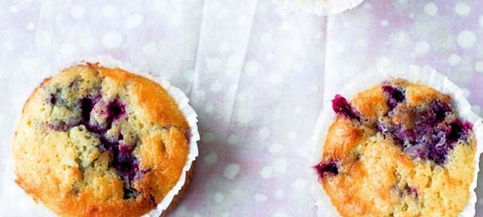Solbærmuffins med hvid chokolade
