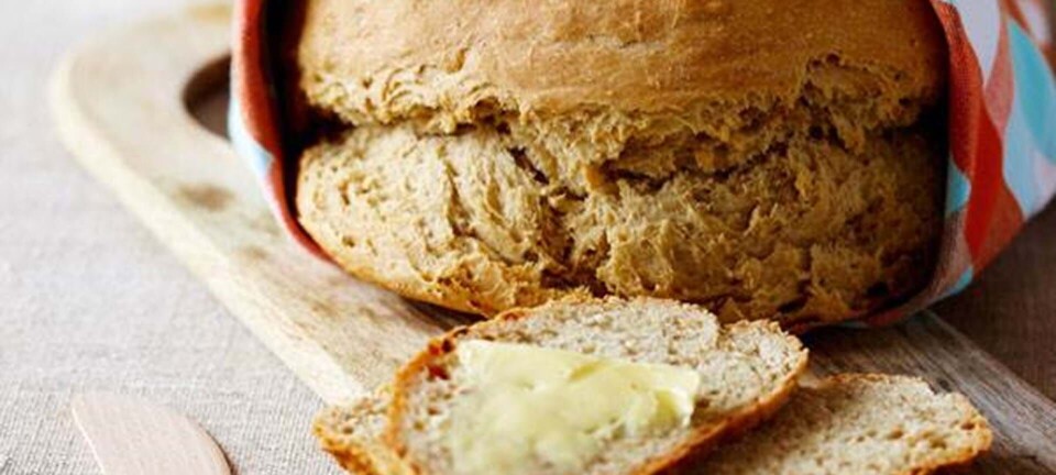 Langtidshævet brød