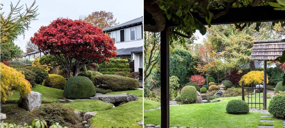 Lige nord for København gemmer sig en lille flig af et fjernt land: Se den smukke have her