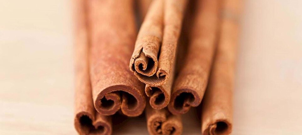 10 ting der kan lindre dine symptomer på PCO