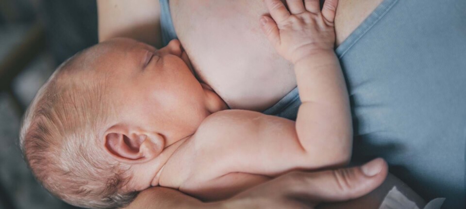 Det sker der med dine bryster: Fra undfangelse til efter amning