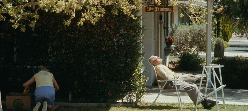 Hvorfor er sommerhuse så fantastiske? Vi har undersøgt sagen