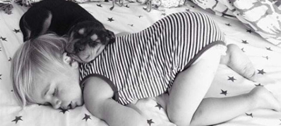 Galleri: Hund og dreng er bedste (sove)venner!