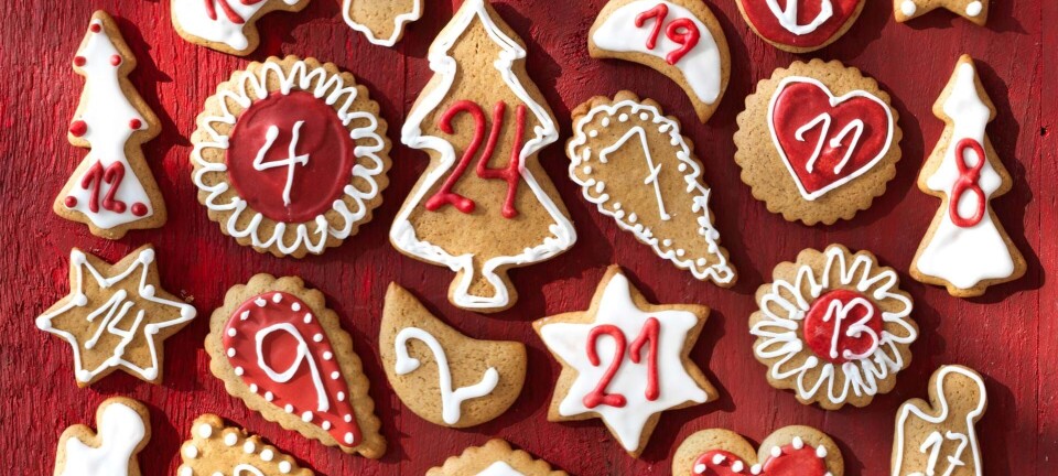 Årets fineste hjemmelavede julekalender: Sådan bager du den