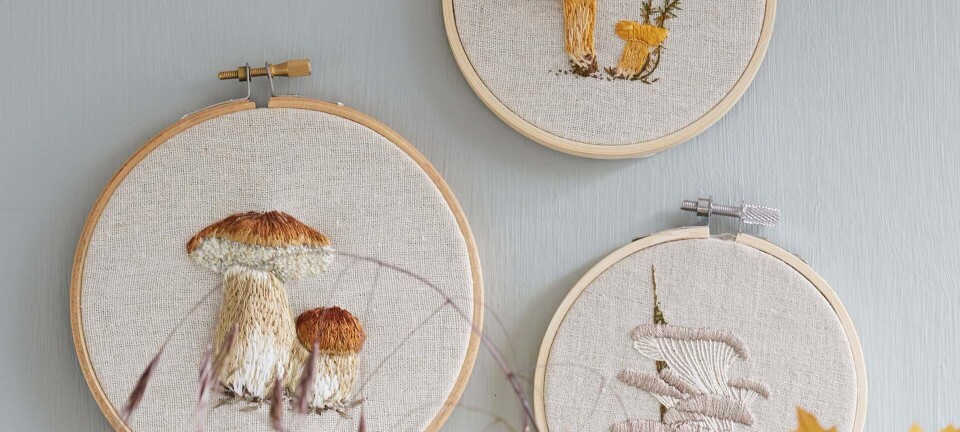 Brodér søde svampe: Sådan gør du trin for trin