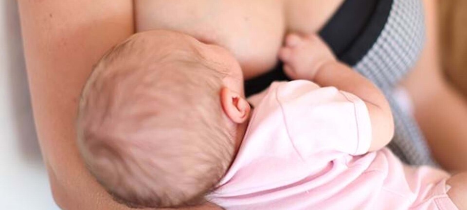 Ammestop: Farvel til mors bryster