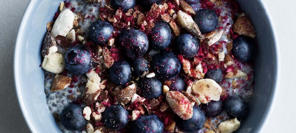 Chiagrød med blåbær og frysetørret hindbær