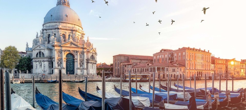 Vinbar og Muranoglas: Få de bedste insidertips til smukke Venedig
