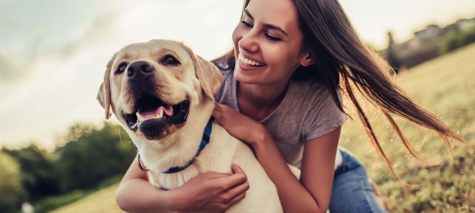 14 øvelser på 14 dage: Træn din hjerne i topform