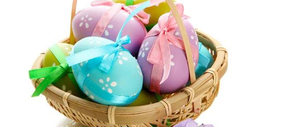 Chokoladepåskeæg: Den store påskeægstest