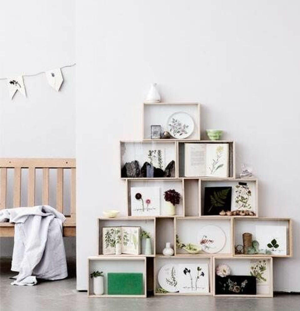 DIY: Tag naturen med hjem