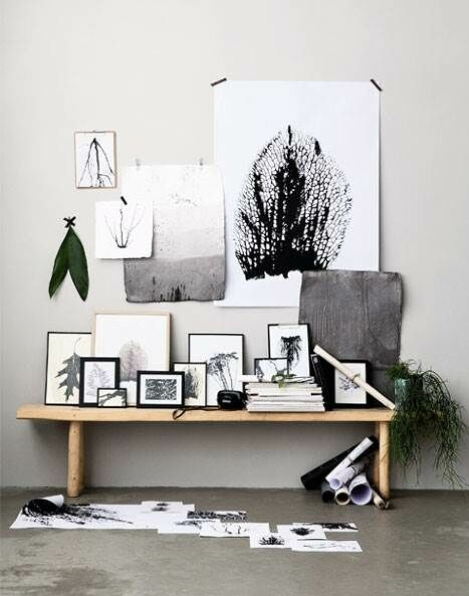 DIY: Tag naturen med hjem