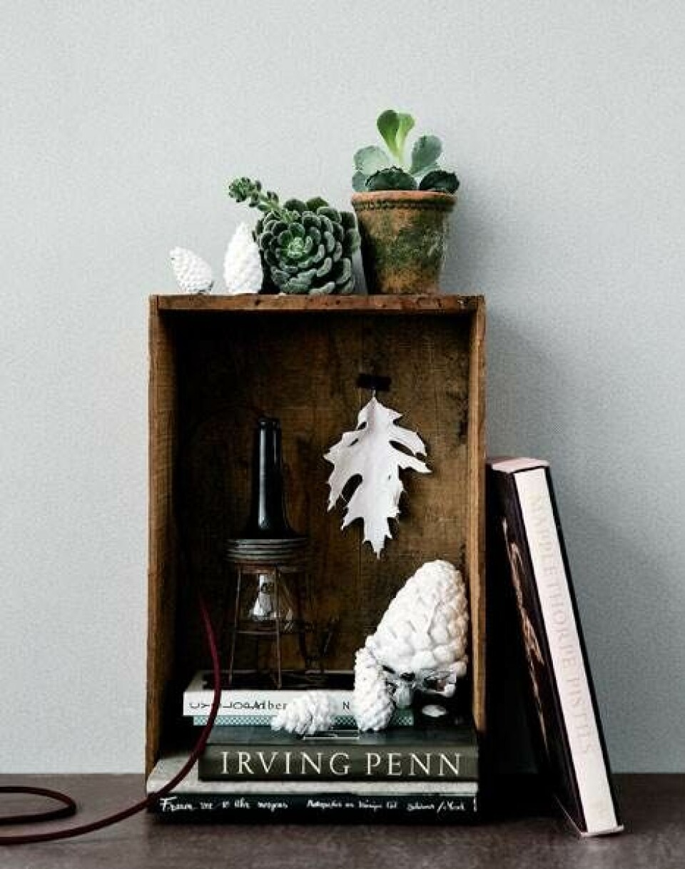 DIY: Tag naturen med hjem