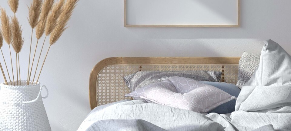 6 ting, du helt sikkert glemmer at rengøre