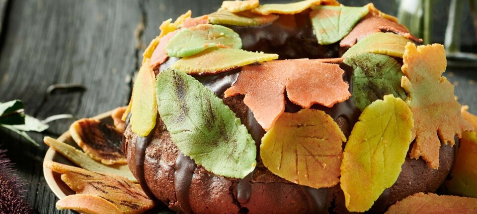 Efterårets bedste kage: Chokoladekage med marcipanblade