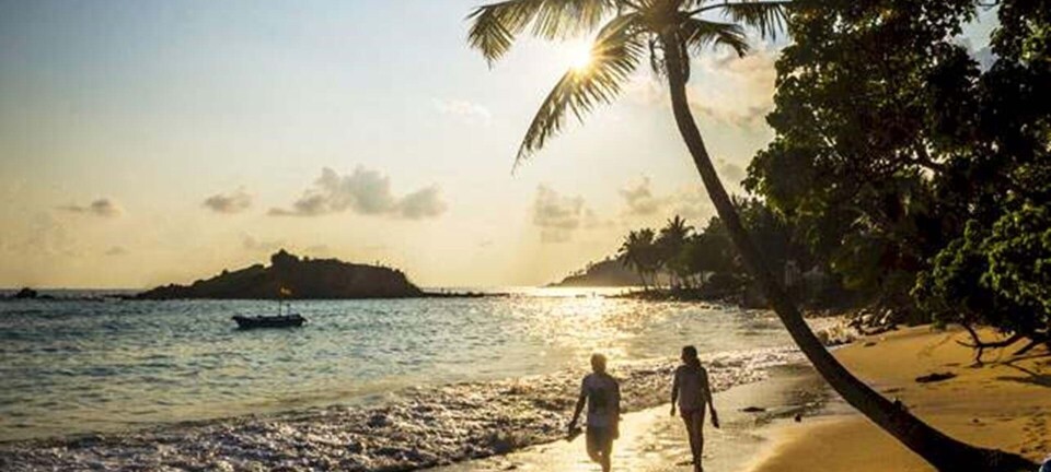 Det her er verdens bedste solferie