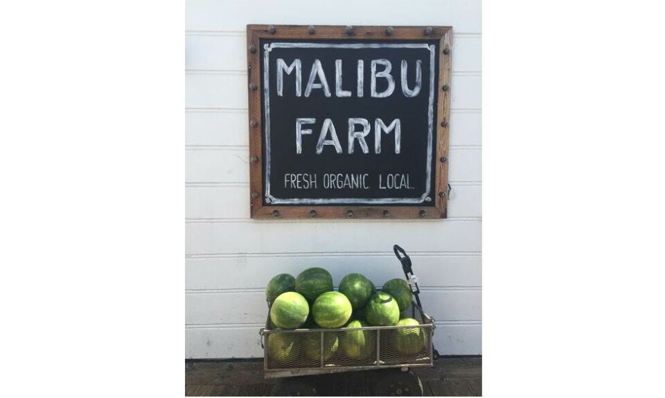 Cindy Crawford: 'Kvinder er meget usikre på sig selv, og det er ikke let at blive ældre'