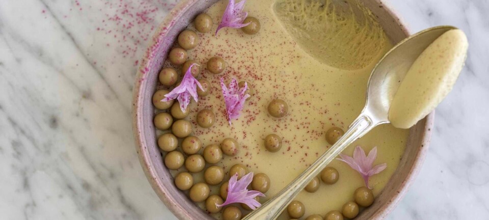 Cremet saltkaramelmousse