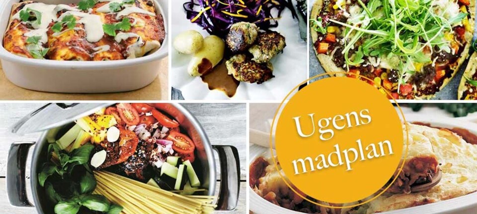 Nem pizza, one-pot-pasta & shepherd’s pie: Her er ugens madplan til dig