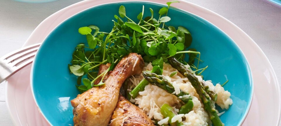 Stegt kylling på risotto med asparges og brøndkarse